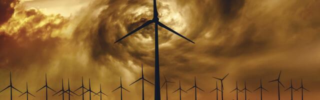 МНЕНИЕ ⟩ Екатерина Пояркова: Такие чудеса, что дыбом волоса, или «Зелёные» фантазии