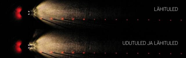 Инструктор по вождению: водители слишком самоуверенны в темноте