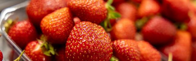 В прибывшей из Польши клубнике обнаружено превышение нормы запрещённых пестицидов