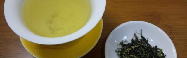 Шоколад и печенье больше не страшны: ученые нашли союзника в борьбе с ожирением