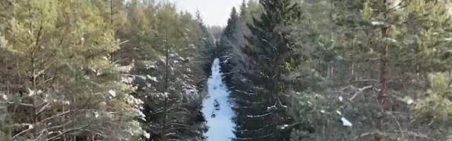 Волость Саарде нашла новый способ заблокировать заболачивание заповедника Кикепера