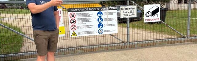 Управляющий фермой с зарегистрированным случаем АЧС: понятия не имеем, как сюда попал вирус