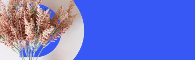 С днем Мамы! Читатели RusDelfi поздравляют своих мам!