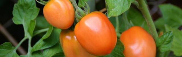 Центристы призывают министра Терраса обсудить антикризисные меры для фермеров