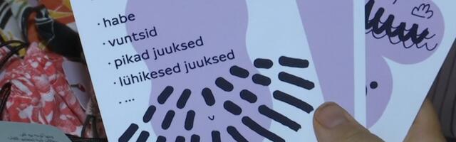 В Нарве создали карточки, которые помогают в изучении эстонского языка и понимании искусства