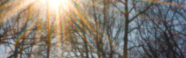 В субботу воздух прогреется до +15