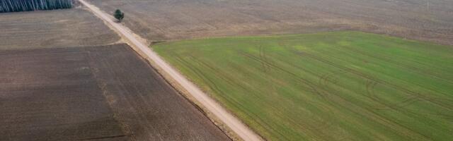 Полиция не обнаружила новых обломков дронов, поиски больше не проводят