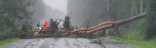 Больше всего обесточенных из-за шторма домохозяйств - в Харьюмаа и Вырумаа