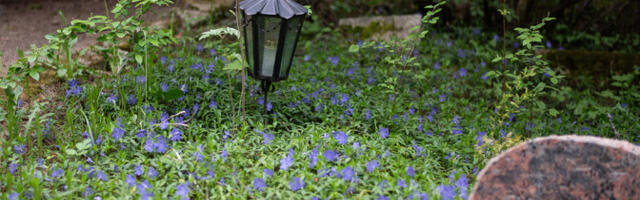 Кохтла-Ярве вложит десятки тысяч евро в благоустройство кладбища Рауди