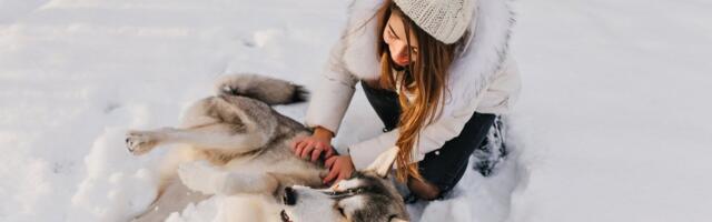 Соль, лед и химия: как уберечь лапы питомцев зимой?