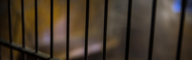 Рийгикогу повысил возраст сексуального согласия до 16 лет