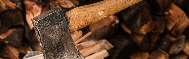 Цены на дрова в ближайшее время скорее всего не упадут