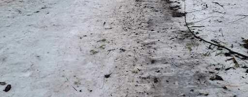 25-й марафон Тамсалу-Неэрути перенесен на март