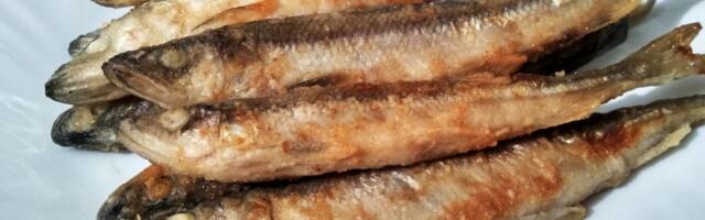 Рыбный союз хочет продлить сезон лова корюшки