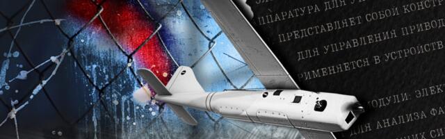 Эстония задержала предпринимательницу, экстрадиции которой требуют США