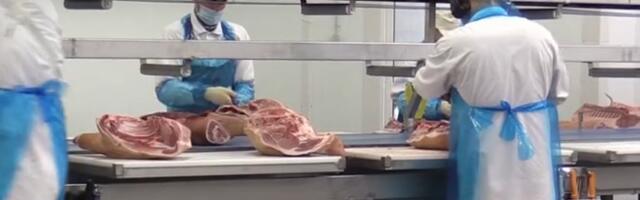 Принадлежащий Леэдо промышленный комплекс выставят на аукцион со стартовой ценой 2 млн евро