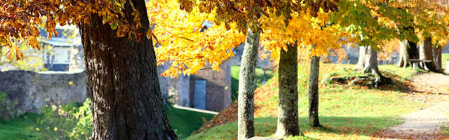 В субботу солнечная и сухая погода, +13..+17