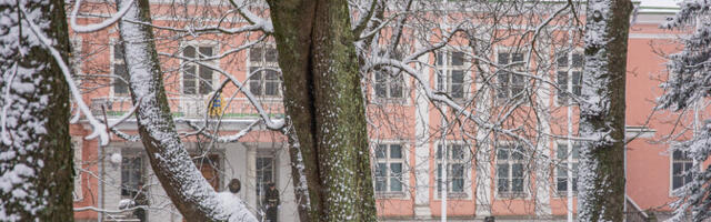 Эксперты: правительство формирует фон для того, чтобы не поддерживать Кариса на второй срок