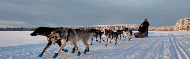 Спецвыпуск "Зеркала": съемочная группа отправилась в Лапландию