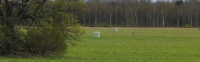 В этом охотничьем сезоне в Эстонии охотники добыли 59 волков