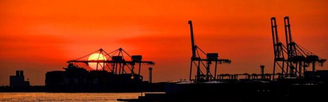 Кивит: Скоро будем готовить суп на дровах