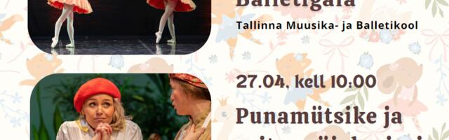 V Международный детский фестиваль оперы и балета: вас ждет детский балетный гала-концерт MuBa и постановка «Красная Шапочка и семь гномов»