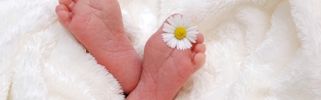 В марте родились 1087 детей