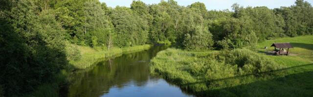 Добровольцы убирают прибрежную территорию пикниковой зоны у реки Пирита в Ласнамяэ