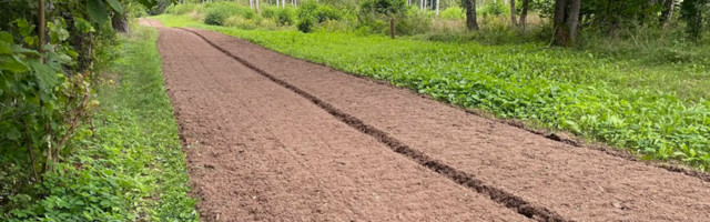 Латвия и Эстония обсуждают укрепление границы