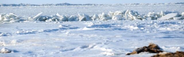 Уровень воды в Балтийском море — один из самых низких в истории наблюдений