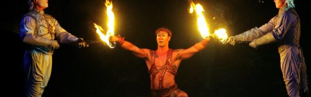 Клоунада с деньгами: как циркачи дурили страховые фирмы и жителей Эстонии