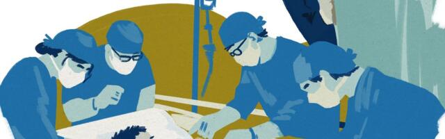 Политическая возня вокруг системы детской медицины ставит под угрозу лечение детей