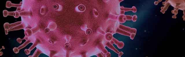 Британские ученые заявили об изменении главных симптомов коронавируса