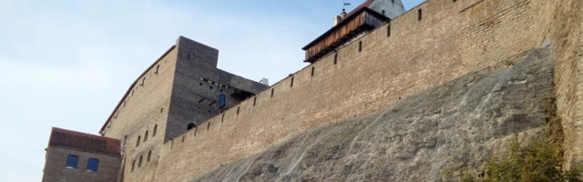 В Нарве открылась посвященная независимости Эстонии передвижная выставка