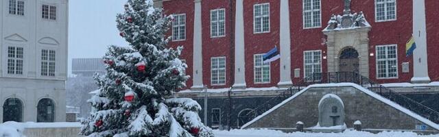 2025 год в Нарве: рост тарифов, увольнения учителей и потеря избирательных прав