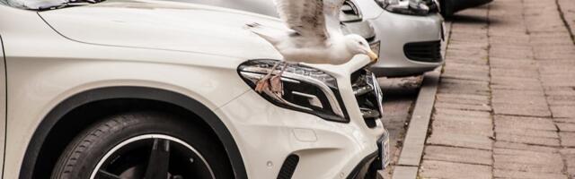 Первый год автоналога в Эстонии: вместо ожидаемых 120 млн евро регистрационный сбор принёс всего 64 млн