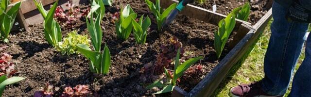 В Нарве участились случаи вандализма и краж городского имущества