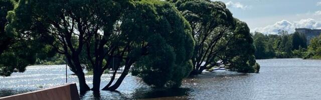 В Нарве затопило зону отдыха Йоаорг