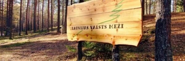 Latvenergo и Latvijas valsts meži пока не планируется выводить на биржу