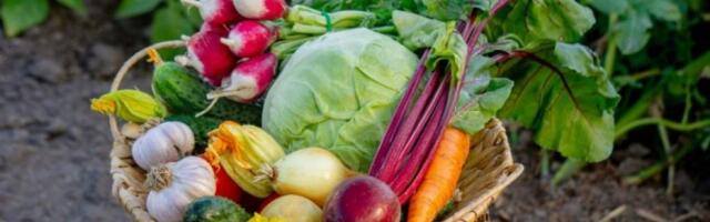 Гликемическая ловушка: что это, 7 продуктов, повышающих уровень сахара в крови