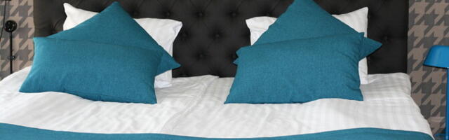 Рекордное число ночевок туристов в ЕС в 2024 году: стало известно место Эстонии