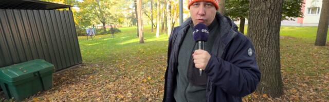 "Зеркало": система компенсаций для диабетиков, опасная дорога в школу по улице Койду