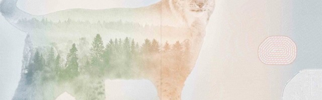 С нового года в Эстонии будут выдаваться паспорта нового образца   ГАЛЕРЕЯ