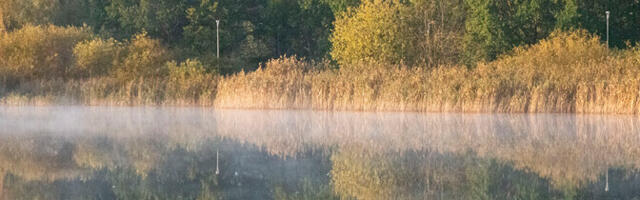 Сентябрь в Эстонии был на два градуса теплее обычного