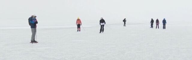 "Ощущение Арктики": лед Пярнуского залива привлек любителей катания на коньках
