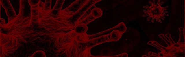 За сутки подтверждено 53 новых случая коронавируса. Ни один болеющий COVID-19 человек не умер