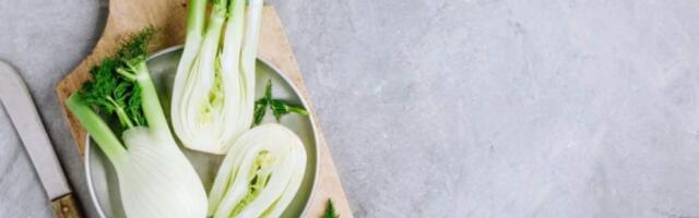 Фенхель: польза и вред для здоровья человека