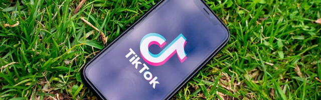 Цахкна: Запрет TikTok необходимо рассмотреть и в Европе