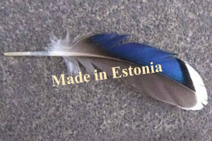Рост численности населения в Эстонии происходит только за счёт  иммиграции