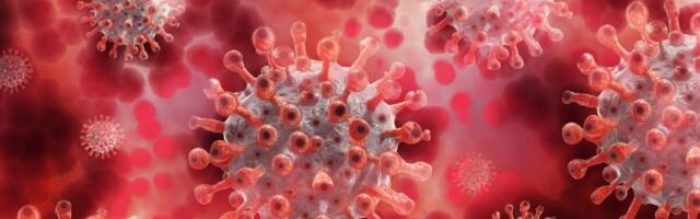 Более патогенный и устойчив к вакцинам? ВОЗ созывает экстренное совещание из-за нового штамма COVID-19